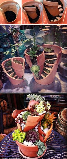 there are many different pots with plants in them