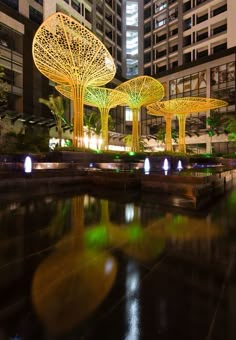 illuminated trees in the middle of a city at night