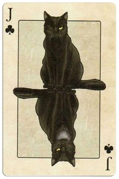 a black cat sitting on top of a playing card