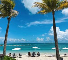 people sitting under umbrellas on the beach with palm trees in the foreground and clear blue water in the background