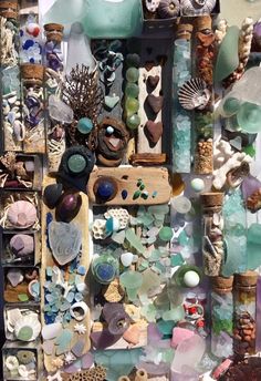 an assortment of sea glass and seashells on display