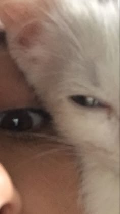 a close up of a person's face with a white cat in the background