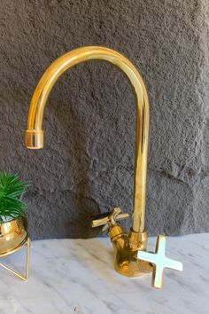 a gold faucet and potted plant on a marble counter