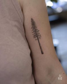 a small pine tree tattoo on the arm