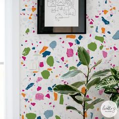 a potted plant sitting next to a wall with colorful paint splattered on it