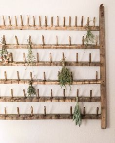 an old wooden peg board with plants growing on it and hanging from the wall above