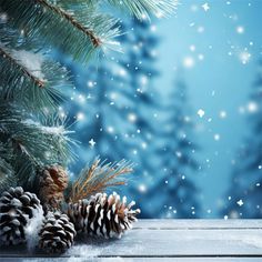 pine cones and snow flakes on a wooden table in front of a blue background