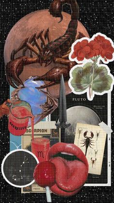 a collage of pictures with different types of things in them, including flowers and insects