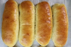 four loaves of bread lined up on a baking sheet