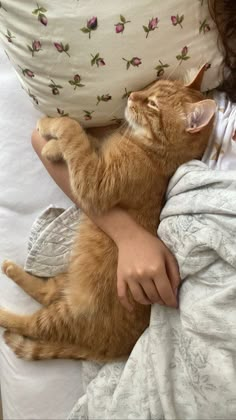 a person laying in bed with a cat on top of their stomach and holding the pillow