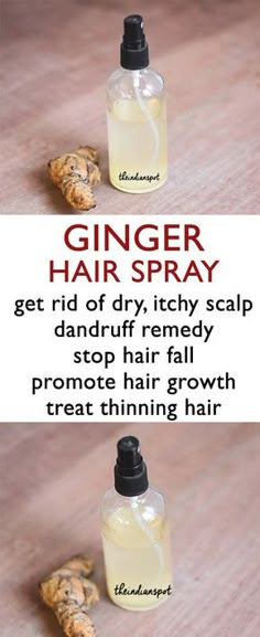 Across the globe, Ginger is used as a natural herb or a spice. Due to many health benefits of ginger, this amazing herb is considered as a medicine. Many res... Treat Thinning Hair, Dandruff Remedy, Hair Growth Spray, Ginger Benefits, Hair Growth Faster