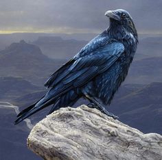 a painting of a blue bird sitting on top of a rock in the middle of nowhere