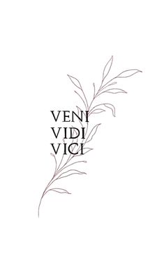 the words vein vidi vici are written in black ink on a white background