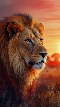 a painting of a lion with the sun setting in the back ground behind it,