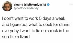 a tweet that reads, i don't want to work 5 days a week and figure out what to cook for dinner everyday i want to lie on rock in the sun like a lizard