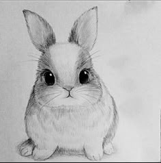 a pencil drawing of a rabbit with big eyes