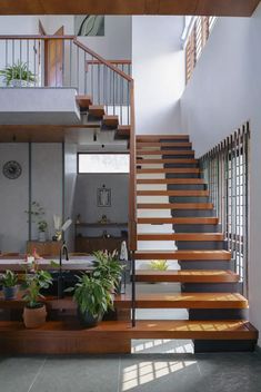 the stairs are made of wood and have glass railings on each side, along with potted plants