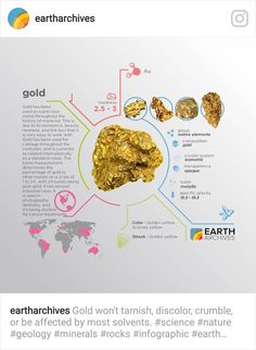 an info sheet with gold nuggies and other things to see on the page