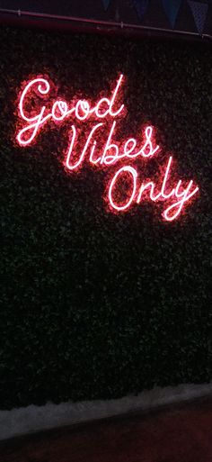 Good Vibes Only Wallpaper with red neon lights and dark green plant background. Beautiful plant aesthetic with flavourful text font. Just Vibe Wallpaper, Good Vibes Aesthetic Wallpaper, Life Is Good Wallpaper, Chill Vibes Wallpaper, Good Vibes Only Aesthetic, Good Vibes Only Wallpaper, Good Vibes Only Quotes, Scrapbook Doodles, Good Vibes Aesthetic