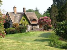 a house with a thatched roof surrounded by trees and flowers in the foreground