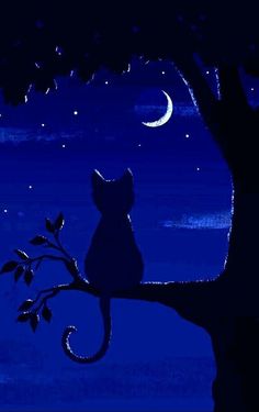 a cat sitting on top of a tree branch under a moon and stars filled sky