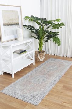 a living room with a plant and rug on the floor