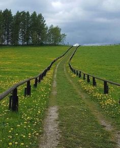 a dirt road in the middle of a green field