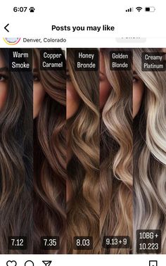 Balayage Hair Tones Chart, Level 3 Brown Hair Balayage, What Hair Color Looks Good On Tan Skin, Brunette Foliage Hair, Morena Hair Color Highlights, Balayage Hair Brunette With Blonde Medium Lengths, Hair Color Inspo For Brunettes, Shades Of Brunette Hair Chart, Difference Between Balayage And Ombre