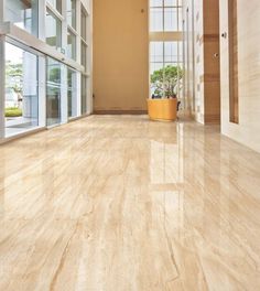 an empty room with a potted plant on the floor and large windows in the background