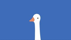 a white duck with an orange beak on a blue background