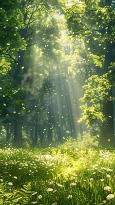 the sun shines through the trees and grass in this green forest filled with daisies