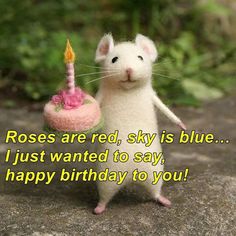 100+ Short And Funny Birthday Wishes · Happy birthday! Happy Birthday Massage, هاكونا ماتاتا, Friend Birthday Quotes, Happy Birthday Quotes For Friends, Birthday Captions, Cute Jokes