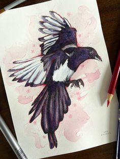 a drawing of a black and white bird with its wings spread out on a piece of paper