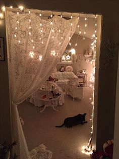 a black cat laying on the floor in front of a bed covered with white curtains