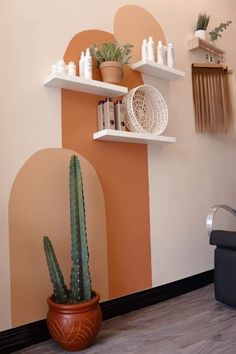 there is a potted cactus in the corner of this room with shelves on the wall