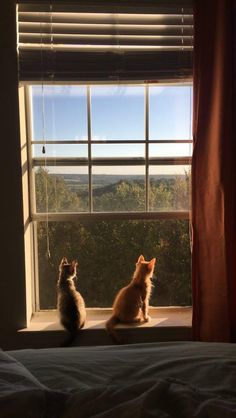 two cats sitting on a window sill looking out at the trees outside in front of them