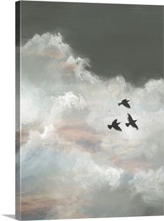 two birds are flying in the sky with clouds behind them and one is black and white