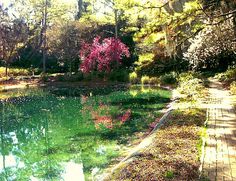 a small pond surrounded by trees and flowers