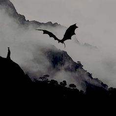 a black and white photo of a dragon flying over the mountain side with fog in the air