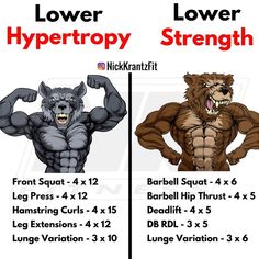 two different types of bodybuildings are shown in this graphic above and below the description