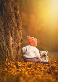 a teddy bear sitting next to a tree on top of autumn leaves in the forest