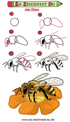 how to draw a bee on top of a flower