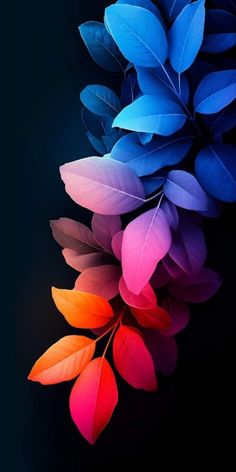 colorful leaves are arranged in the shape of a rainbow - hued branch on a black background