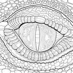 the inside of an animal's eye in black and white