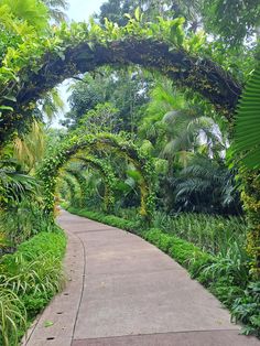 an archway in the middle of a lush green garden with lots of trees and plants