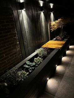 an outdoor garden with lights on the side of it and plants growing in the planters