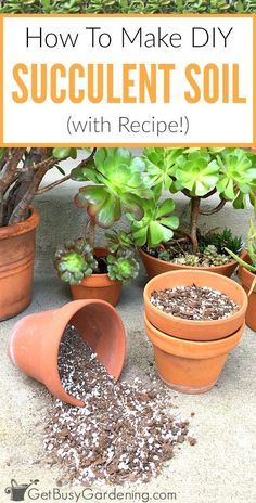 how to make diy succulent soil with recipe