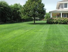 a large lawn in front of a house