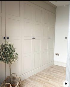 an empty room with white cabinets and a potted plant