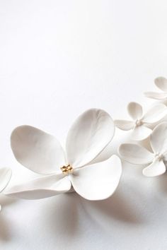 some white flowers on a white surface